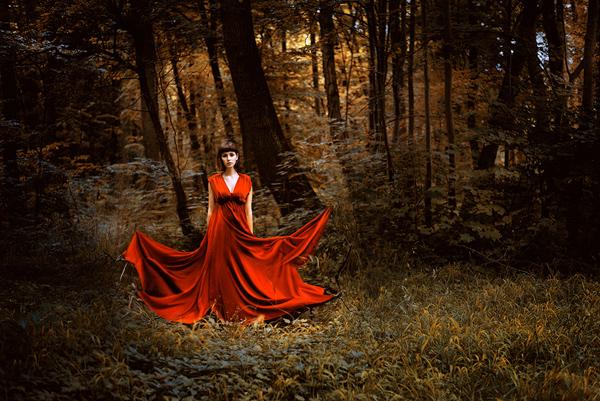 Photography by Laura Zalenga