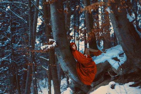 Photography by Laura Zalenga