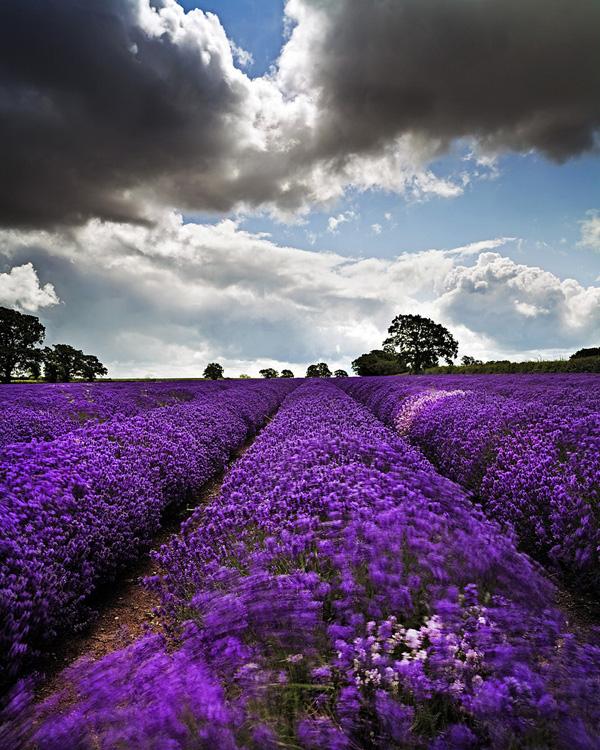 Landscape Photography by Peter Spencer