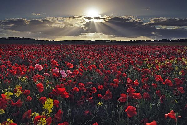 Landscape Photography by Peter Spencer