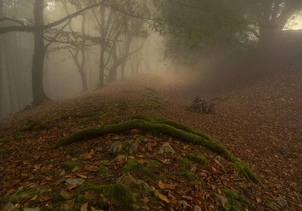 Landscape Photography by Peter Spencer