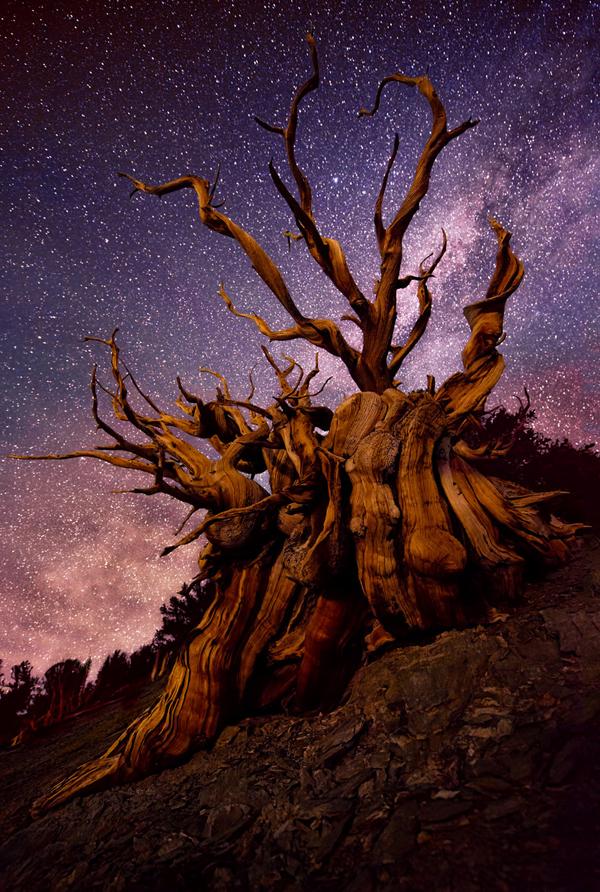 Landscape Photography by Doug Solis