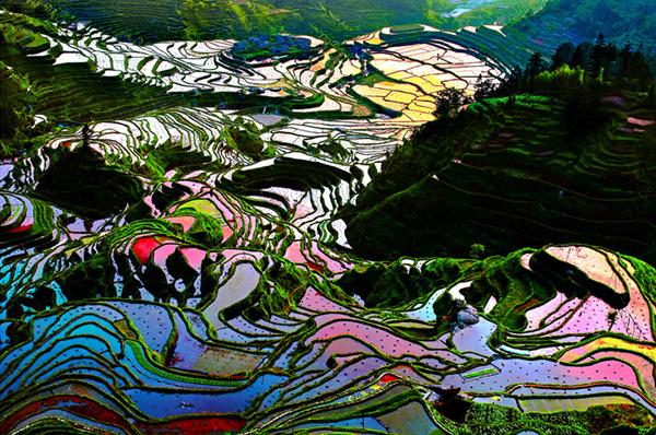When Art becomes Cool Pictures