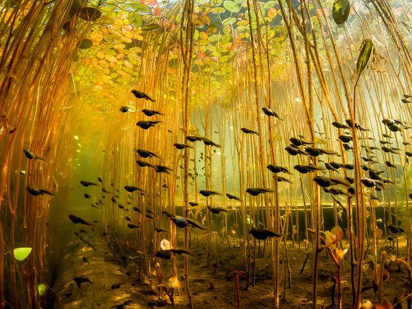 When Art becomes Cool Pictures