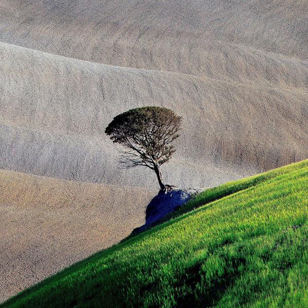 When Art becomes Cool Pictures