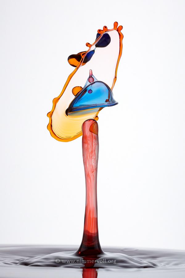 Incredible Water Drops Photos by Daniel Nimmervoll