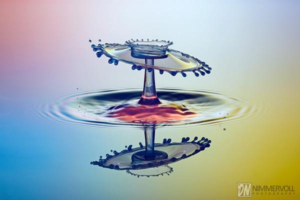 Incredible Water Drops Photos by Daniel Nimmervoll