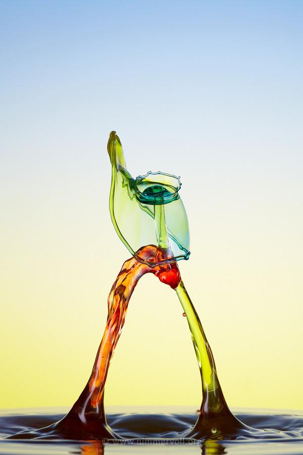 Incredible Water Drops Photos by Daniel Nimmervoll