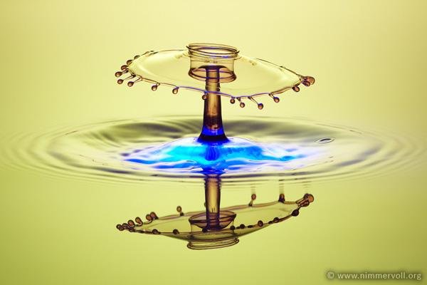 Incredible Water Drops Photos by Daniel Nimmervoll