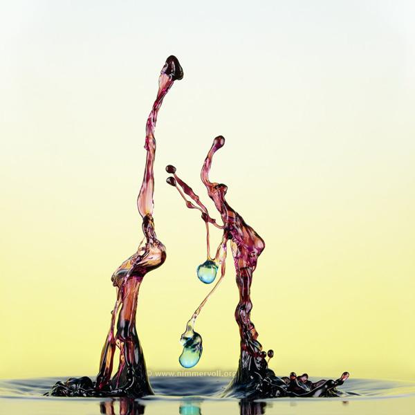 Incredible Water Drops Photos by Daniel Nimmervoll