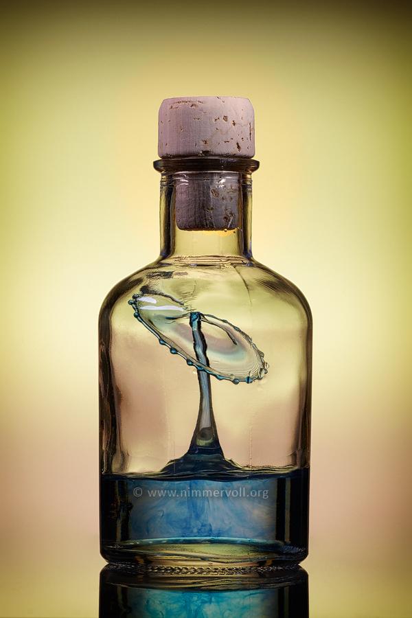 Incredible Water Drops Photos by Daniel Nimmervoll