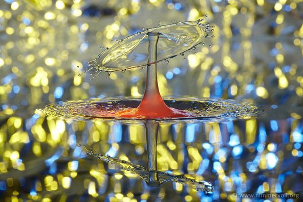 Incredible Water Drops Photos by Daniel Nimmervoll