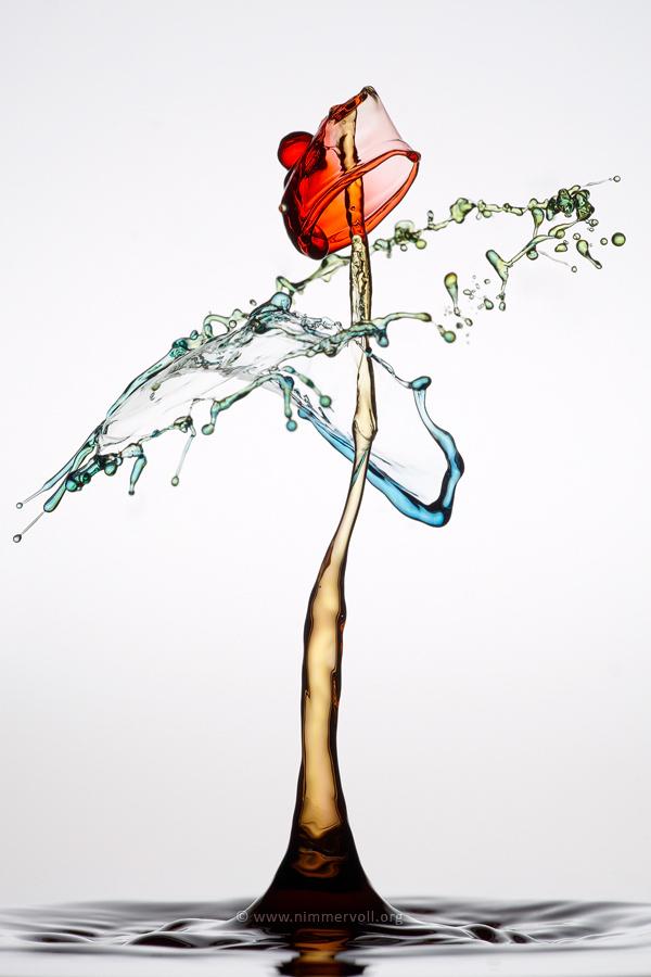 Incredible Water Drops Photos by Daniel Nimmervoll