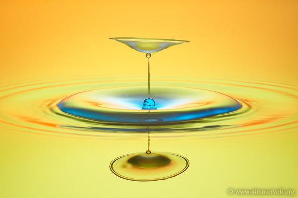 Incredible Water Drops Photos by Daniel Nimmervoll