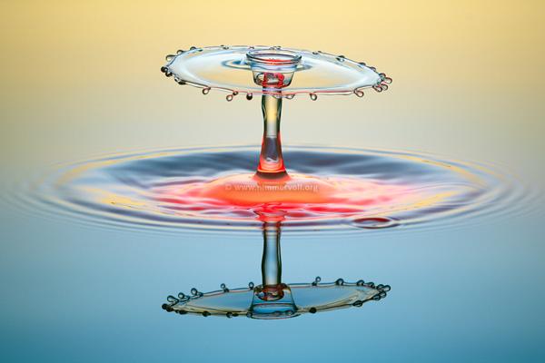 Incredible Water Drops Photos by Daniel Nimmervoll