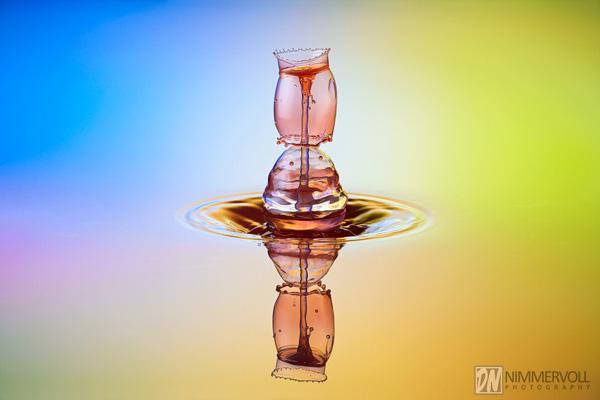 Incredible Water Drops Photos by Daniel Nimmervoll