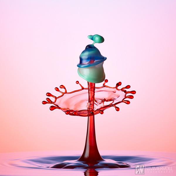 Incredible Water Drops Photos by Daniel Nimmervoll