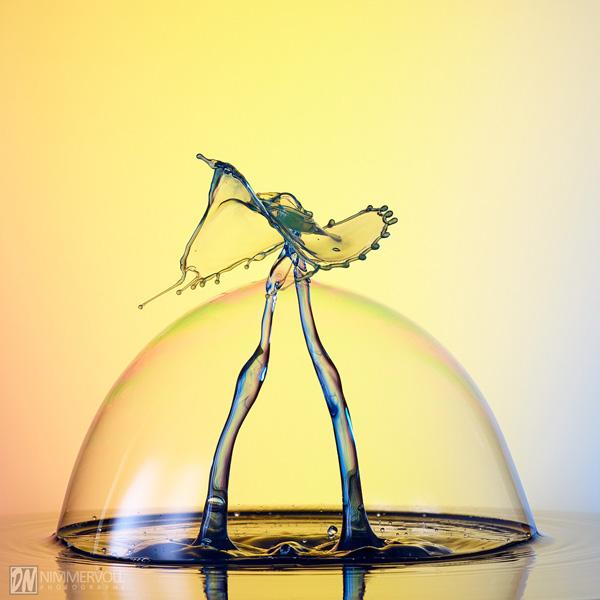 Incredible Water Drops Photos by Daniel Nimmervoll