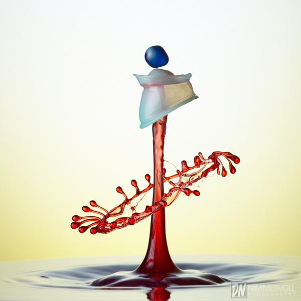 Incredible Water Drops Photos by Daniel Nimmervoll