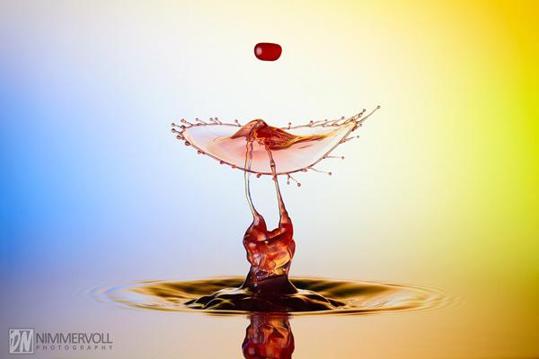 Incredible Water Drops Photos by Daniel Nimmervoll