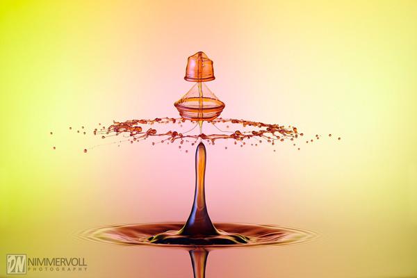 Incredible Water Drops Photos by Daniel Nimmervoll