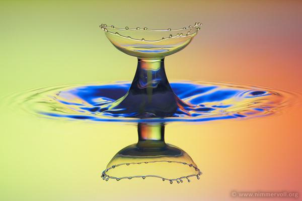 Incredible Water Drops Photos by Daniel Nimmervoll