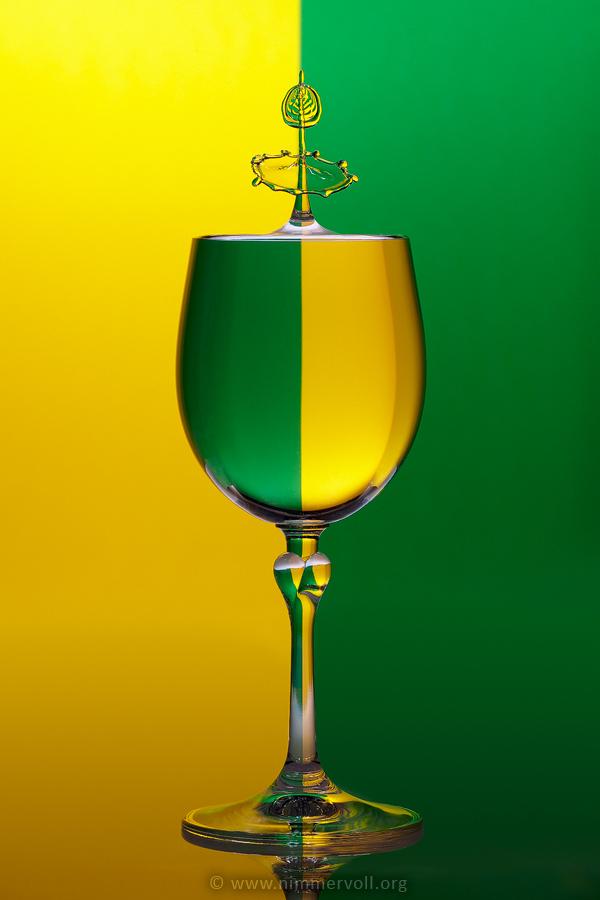 Incredible Water Drops Photos by Daniel Nimmervoll