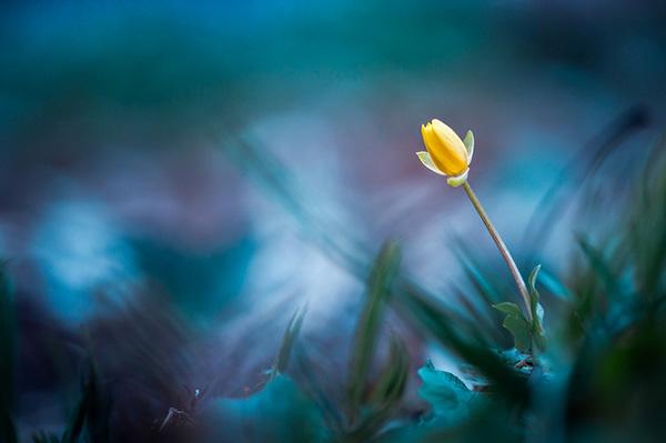 Photography by Stephane Occhipinti