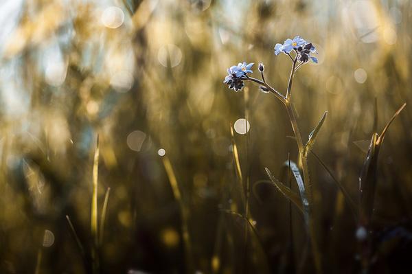 Photography by Stephane Occhipinti