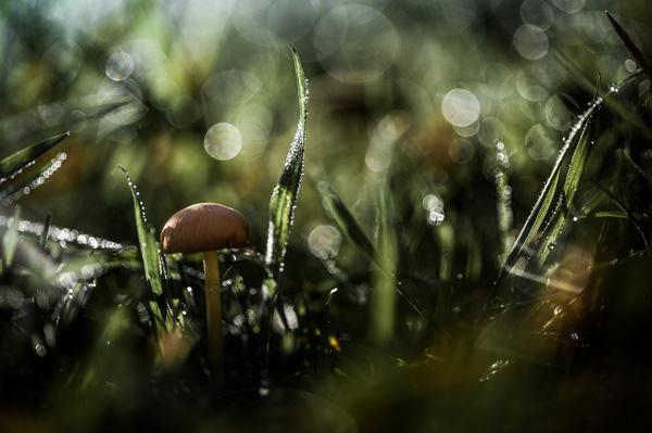 Photography by Stephane Occhipinti