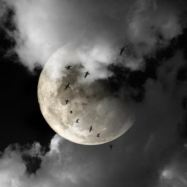 Surreal Photography by Souichi Furusho
