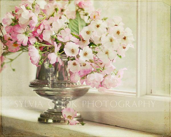 The beauty of Pink flowers
