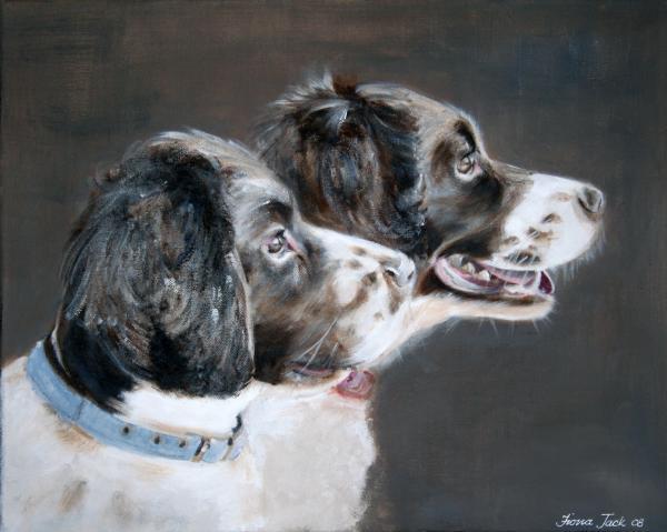 Pet Portrait Paintings by Fiona Jack