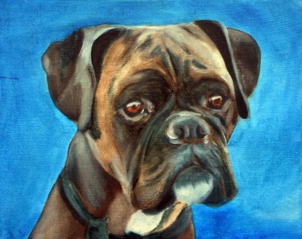Pet Portrait Paintings by Fiona Jack