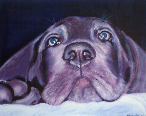 Pet Portrait Paintings by Fiona Jack