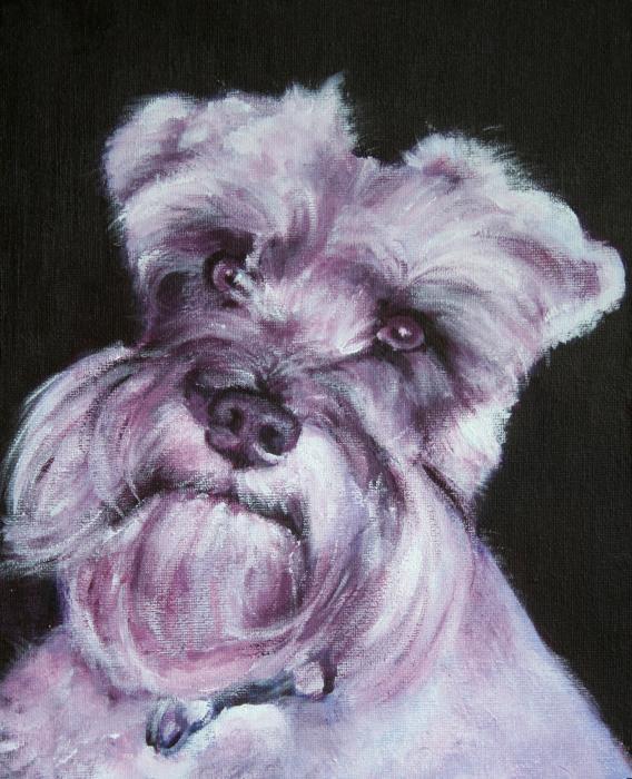 Pet Portrait Paintings by Fiona Jack