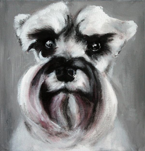 Pet Portrait Paintings by Fiona Jack