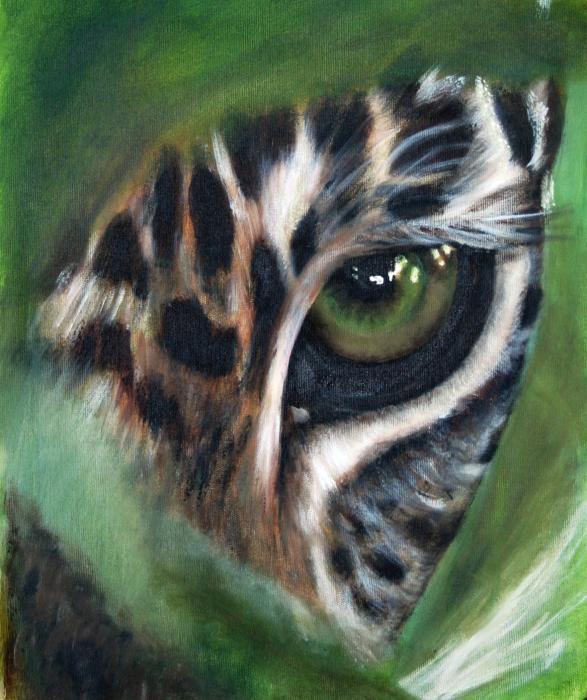 Pet Portrait Paintings by Fiona Jack