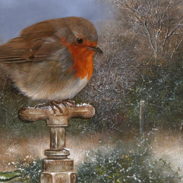 Wildlife Paintings by Carl Whitfield