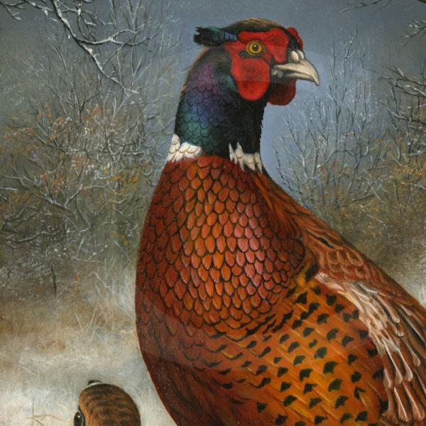 Wildlife Paintings by Carl Whitfield