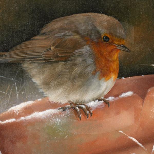 Wildlife Paintings by Carl Whitfield
