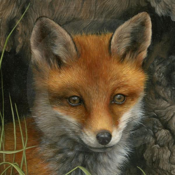 Wildlife Paintings by Carl Whitfield