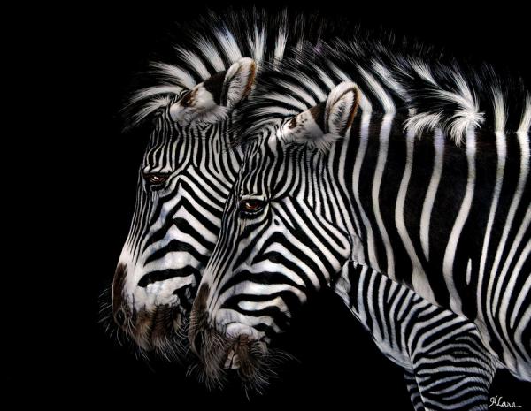 Animal Portrait Paintings by Heather Lara