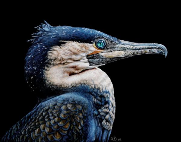 Animal Portrait Paintings by Heather Lara