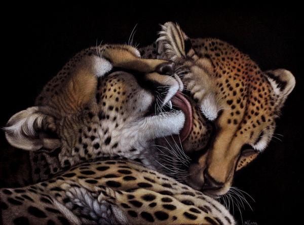 Animal Portrait Paintings by Heather Lara