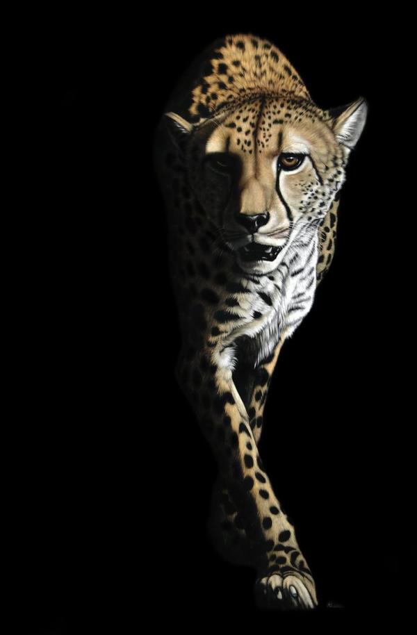 Animal Portrait Paintings by Heather Lara