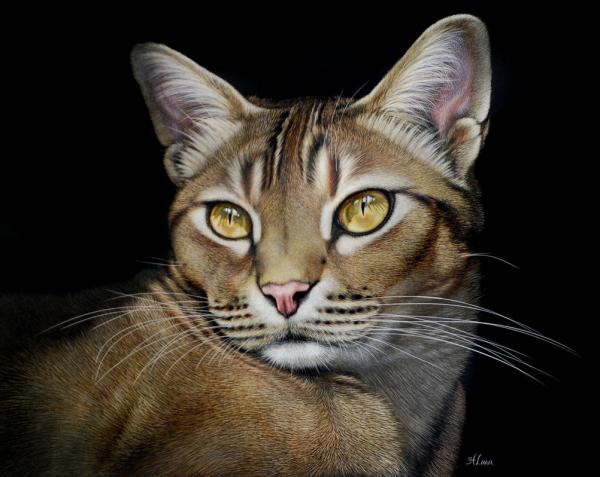 Animal Portrait Paintings by Heather Lara