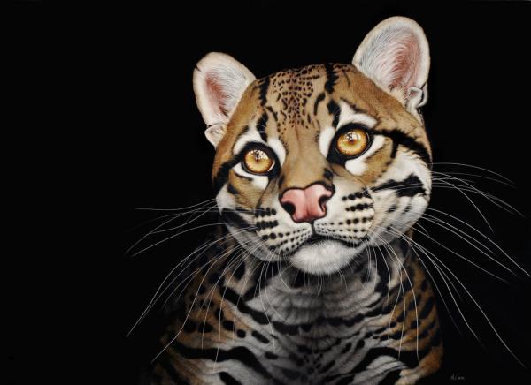 Animal Portrait Paintings by Heather Lara