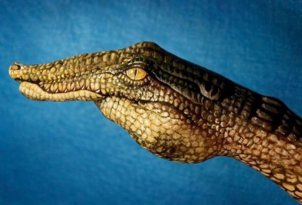 Incredible Hand Paintings by Guido Daniele