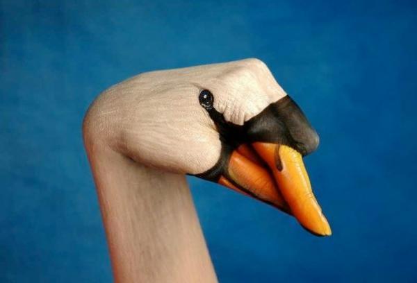 Incredible Hand Paintings by Guido Daniele